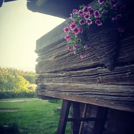 Mustijoki Bed & Breakfast