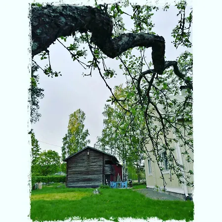 Mustijoki 3* Laukkoski