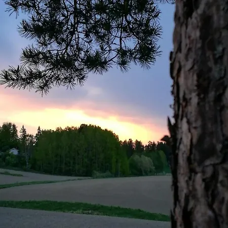 Mustijoki Bed and Breakfast 3*