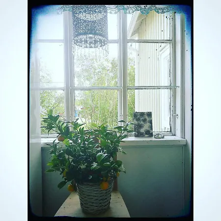 Mustijoki 3* Laukkoski