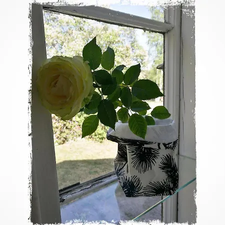 Mustijoki 3* Laukkoski